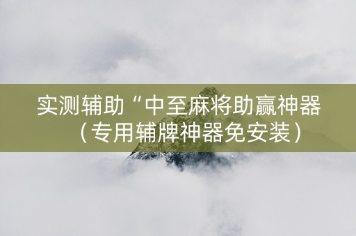 实测辅助“中至麻将助赢神器（专用辅牌神器免安装）