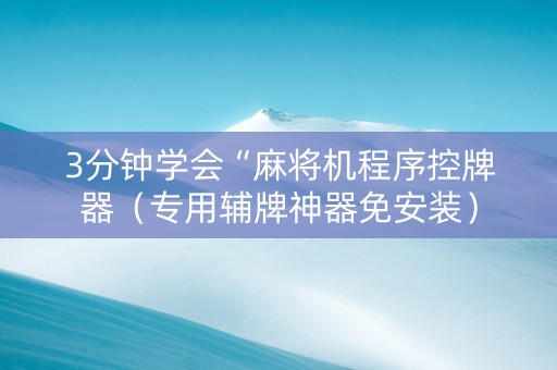 3分钟学会“麻将机程序控牌器（专用辅牌神器免安装）