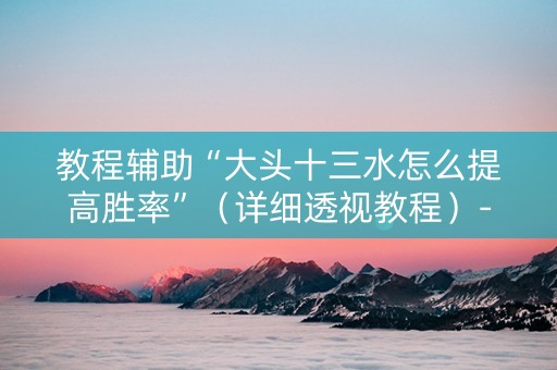教程辅助“大头十三水怎么提高胜率”（详细透视教程）-哔哩哔哩