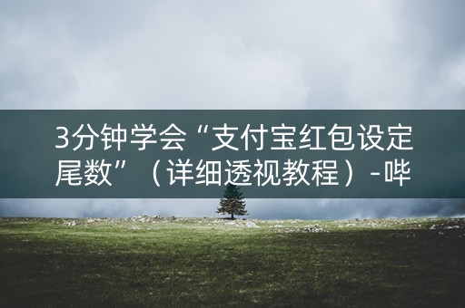 3分钟学会“支付宝红包设定尾数”（详细透视教程）-哔哩哔哩