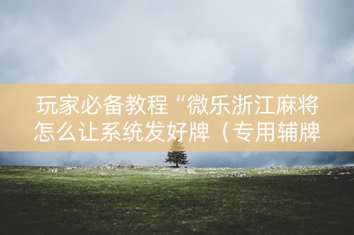 玩家必备教程“微乐浙江麻将怎么让系统发好牌（专用辅牌神器免安装）