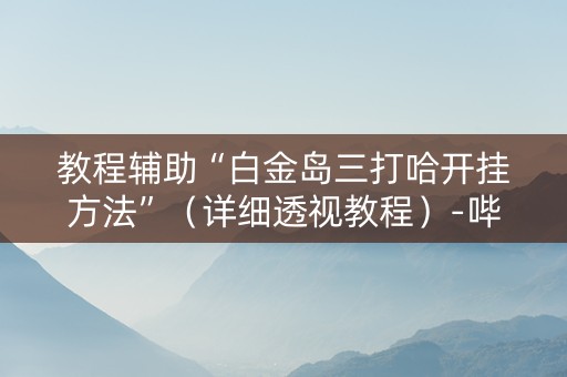 教程辅助“白金岛三打哈开挂方法”（详细透视教程）-哔哩哔哩