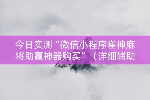 今日实测“微信小程序雀神麻将助赢神器购买”（详细辅助教程）-哔哩哔哩