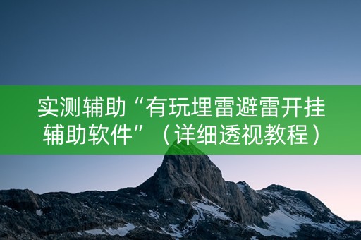 实测辅助“有玩埋雷避雷开挂辅助软件”（详细透视教程）-哔哩哔哩