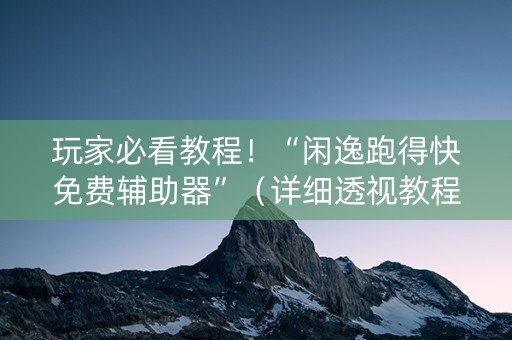 玩家必看教程！“闲逸跑得快免费辅助器”（详细透视教程）-哔哩哔哩