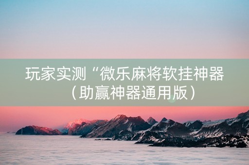 玩家实测“微乐麻将软挂神器（助赢神器通用版）