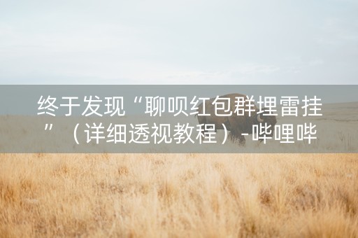 终于发现“聊呗红包群埋雷挂”（详细透视教程）-哔哩哔哩