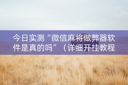 今日实测“微信麻将做弊器软件是真的吗”（详细开挂教程）-哔哩哔哩