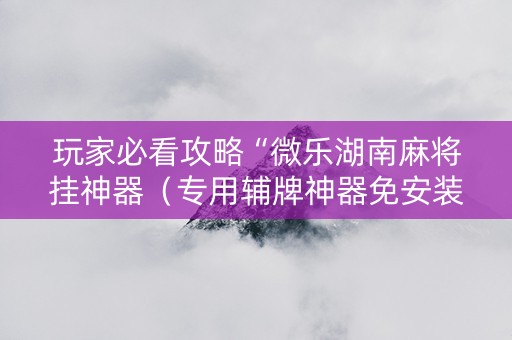 玩家必看攻略“微乐湖南麻将挂神器（专用辅牌神器免安装）