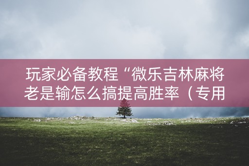玩家必备教程“微乐吉林麻将老是输怎么搞提高胜率（专用辅牌神器免安装）