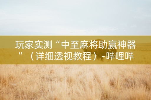 玩家实测“中至麻将助赢神器”（详细透视教程）-哔哩哔哩