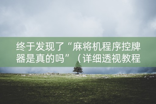 终于发现了“麻将机程序控牌器是真的吗”（详细透视教程）-哔哩哔哩