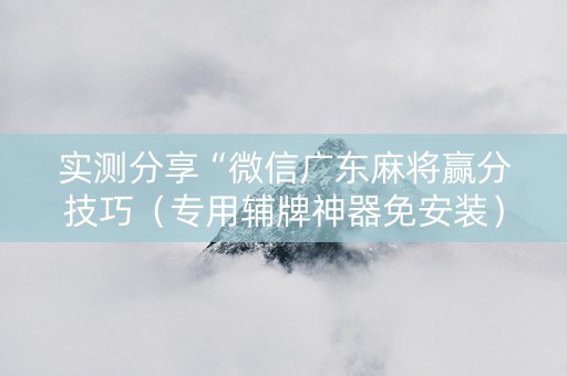 实测分享“微信广东麻将赢分技巧（专用辅牌神器免安装）