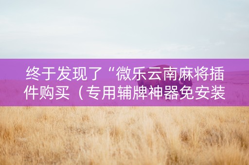 终于发现了“微乐云南麻将插件购买（专用辅牌神器免安装）