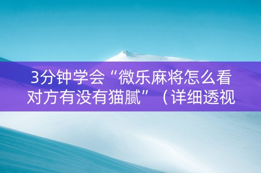 3分钟学会“微乐麻将怎么看对方有没有猫腻”（详细透视教程）-哔哩哔哩