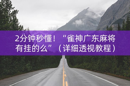 2分钟秒懂！“雀神广东麻将有挂的么”（详细透视教程）-哔哩哔哩