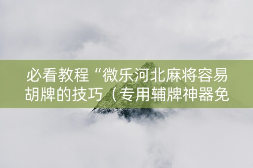 必看教程“微乐河北麻将容易胡牌的技巧（专用辅牌神器免安装）