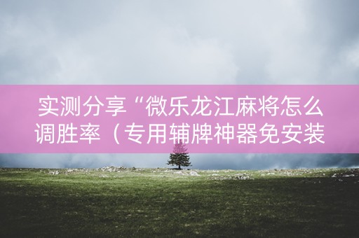 实测分享“微乐龙江麻将怎么调胜率（专用辅牌神器免安装）