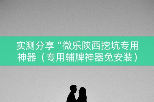 实测分享“微乐陕西挖坑专用神器（专用辅牌神器免安装）