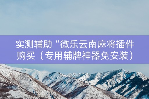 实测辅助“微乐云南麻将插件购买（专用辅牌神器免安装）
