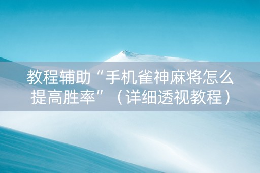 教程辅助“手机雀神麻将怎么提高胜率”（详细透视教程）-哔哩哔哩