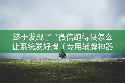终于发现了“微信跑得快怎么让系统发好牌（专用辅牌神器免安装）
