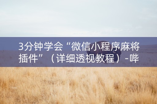 3分钟学会“微信小程序麻将插件”（详细透视教程）-哔哩哔哩