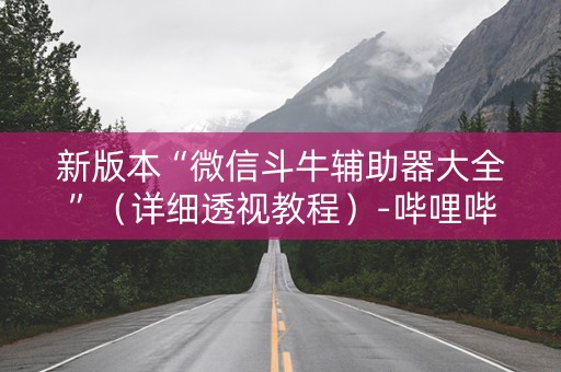 新版本“微信斗牛辅助器大全”（详细透视教程）-哔哩哔哩