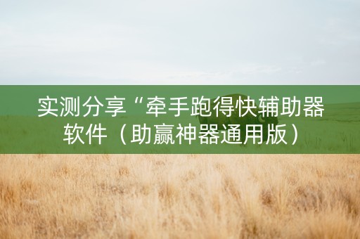 实测分享“牵手跑得快辅助器软件（助赢神器通用版）