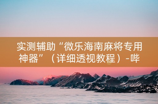 实测辅助“微乐海南麻将专用神器”（详细透视教程）-哔哩哔哩