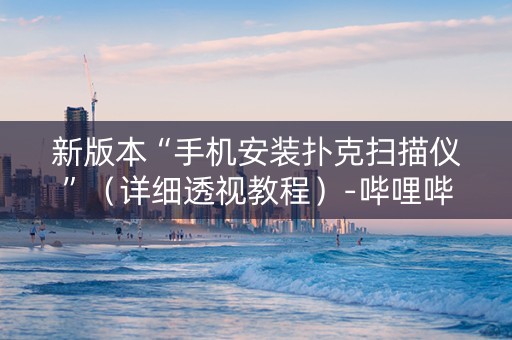 新版本“手机安装扑克扫描仪”（详细透视教程）-哔哩哔哩