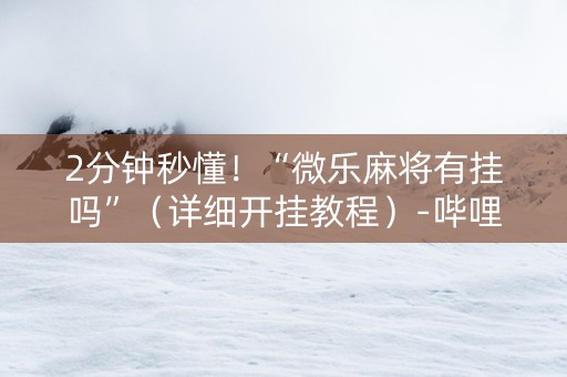 2分钟秒懂！“微乐麻将有挂吗”（详细开挂教程）-哔哩哔哩