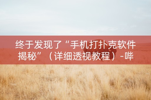 终于发现了“手机打扑克软件揭秘”（详细透视教程）-哔哩哔哩