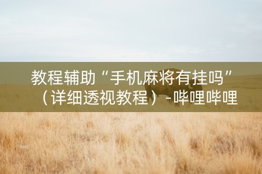 教程辅助“手机麻将有挂吗”（详细透视教程）-哔哩哔哩