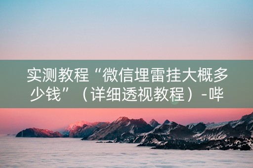 实测教程“微信埋雷挂大概多少钱”（详细透视教程）-哔哩哔哩