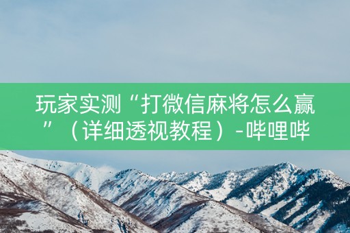 玩家实测“打微信麻将怎么赢”（详细透视教程）-哔哩哔哩