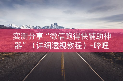 实测分享“微信跑得快辅助神器”（详细透视教程）-哔哩哔哩