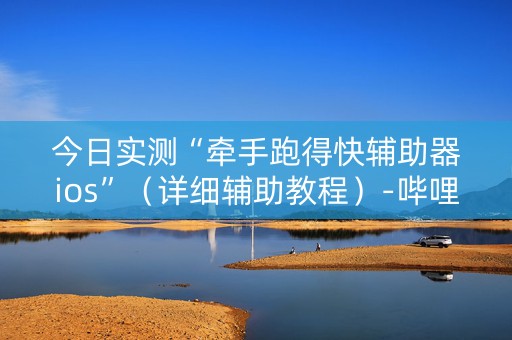今日实测“牵手跑得快辅助器ios”（详细辅助教程）-哔哩哔哩