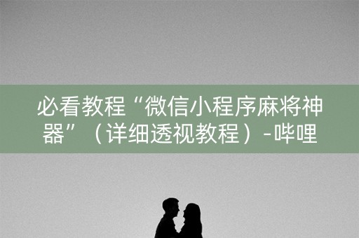 必看教程“微信小程序麻将神器”（详细透视教程）-哔哩哔哩