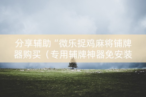 分享辅助“微乐捉鸡麻将铺牌器购买（专用辅牌神器免安装）