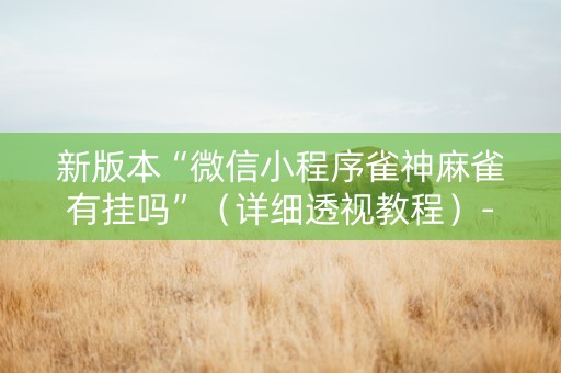 新版本“微信小程序雀神麻雀有挂吗”（详细透视教程）-哔哩哔哩