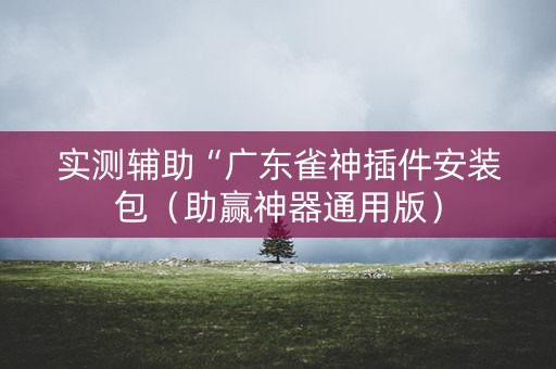 实测辅助“广东雀神插件安装包（助赢神器通用版）