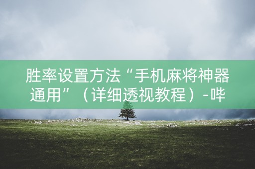 胜率设置方法“手机麻将神器通用”（详细透视教程）-哔哩哔哩