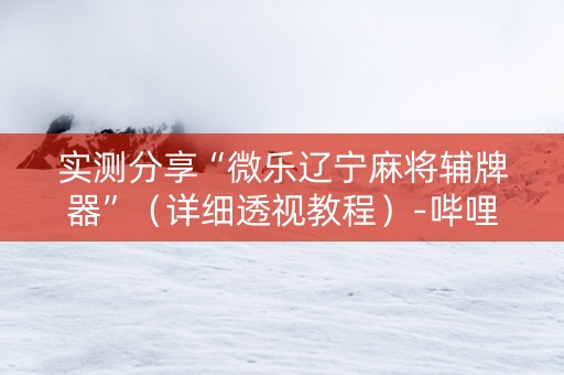 实测分享“微乐辽宁麻将辅牌器”（详细透视教程）-哔哩哔哩
