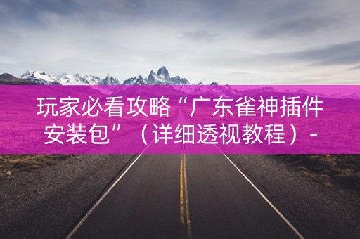 玩家必看攻略“广东雀神插件安装包”（详细透视教程）-哔哩哔哩
