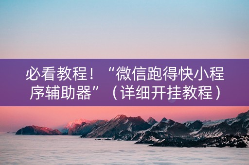 必看教程！“微信跑得快小程序辅助器”（详细开挂教程）-哔哩哔哩
