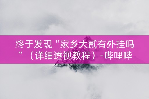 终于发现“家乡大贰有外挂吗”（详细透视教程）-哔哩哔哩