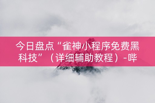 今日盘点“雀神小程序免费黑科技”（详细辅助教程）-哔哩哔哩