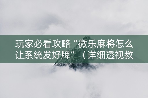玩家必看攻略“微乐麻将怎么让系统发好牌”（详细透视教程）-哔哩哔哩