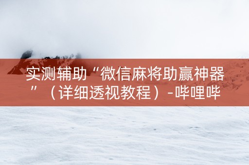 实测辅助“微信麻将助赢神器”（详细透视教程）-哔哩哔哩